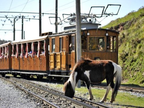 Le Petit Train de la Rhune 